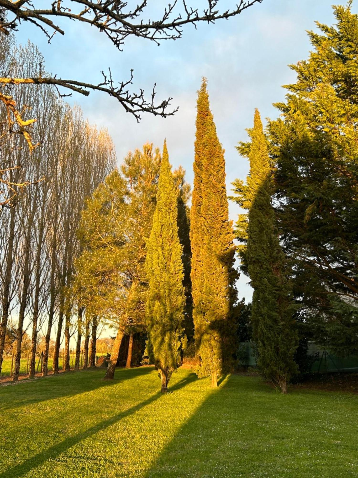 Domaine De La Gemoliere Gémozac Exterior foto